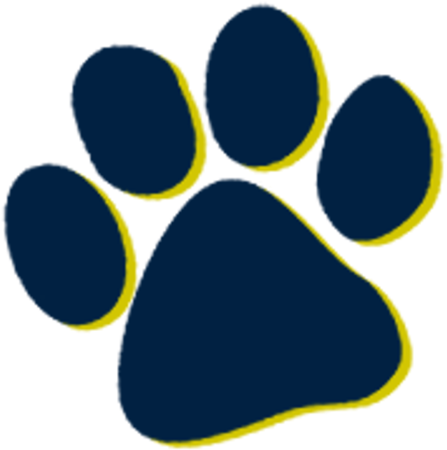 Leopard Paw Print Stencil (720x720)