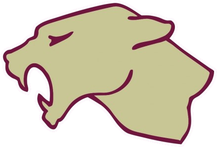 Western Panthers - School (438x297)
