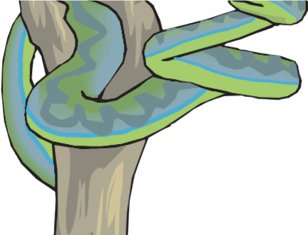 Snake Clipart Tree - Snakes (640x480)