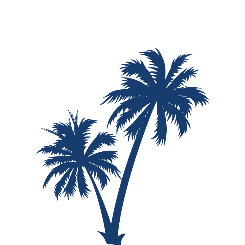Explore More - Black And White Palm Tree (807x806)
