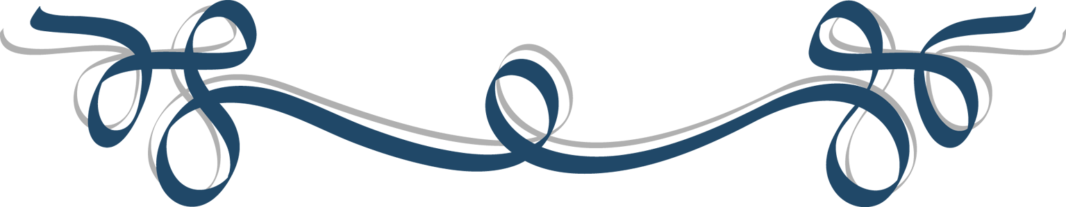 "about Saving Graves" - Transparent Holiday Border (1535x299)