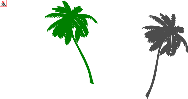 White Palm Tree Transparent (600x316)