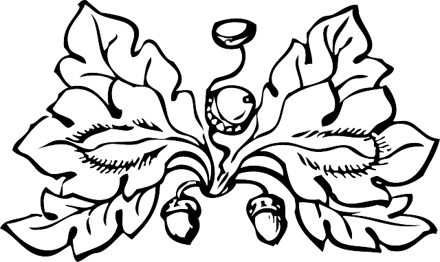 Fall, Outline, Plants, Leaf, White, Border - White Oak Leaf Vector (640x381)