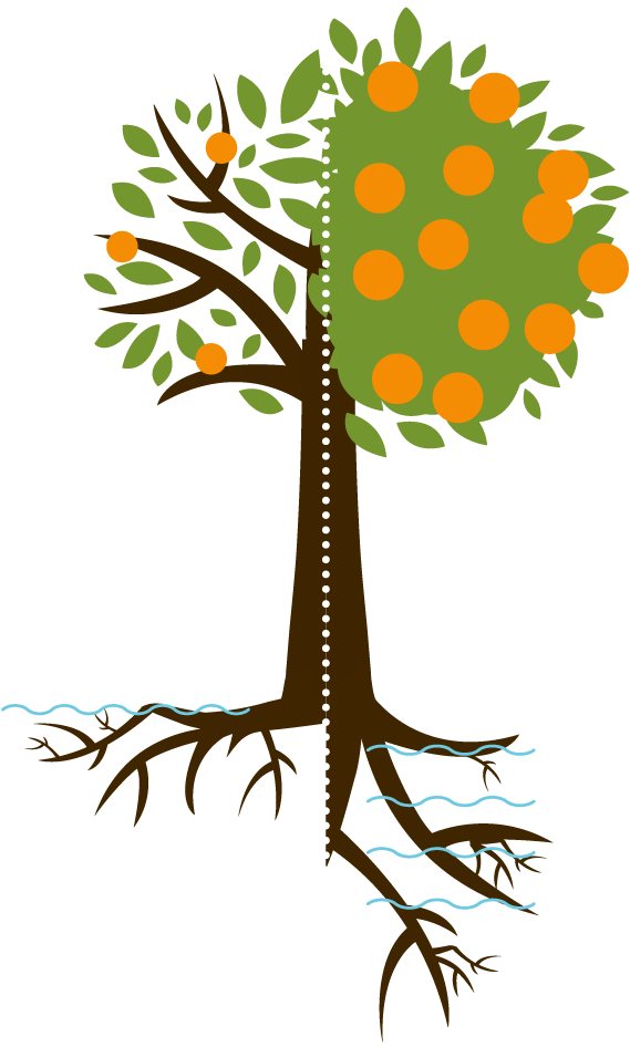 Doublesidedtree-illo2 - Doublesidedtree-illo2 (582x945)