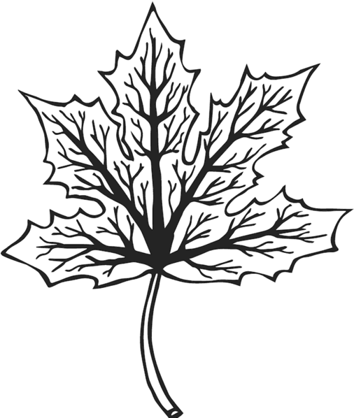 Plants (600x600)