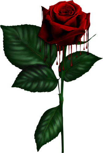 As Darklove - Red Rose (336x500)