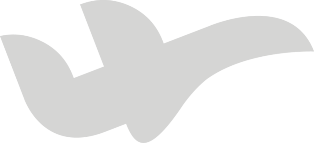 Jumbo Jet Clipart (1000x457)