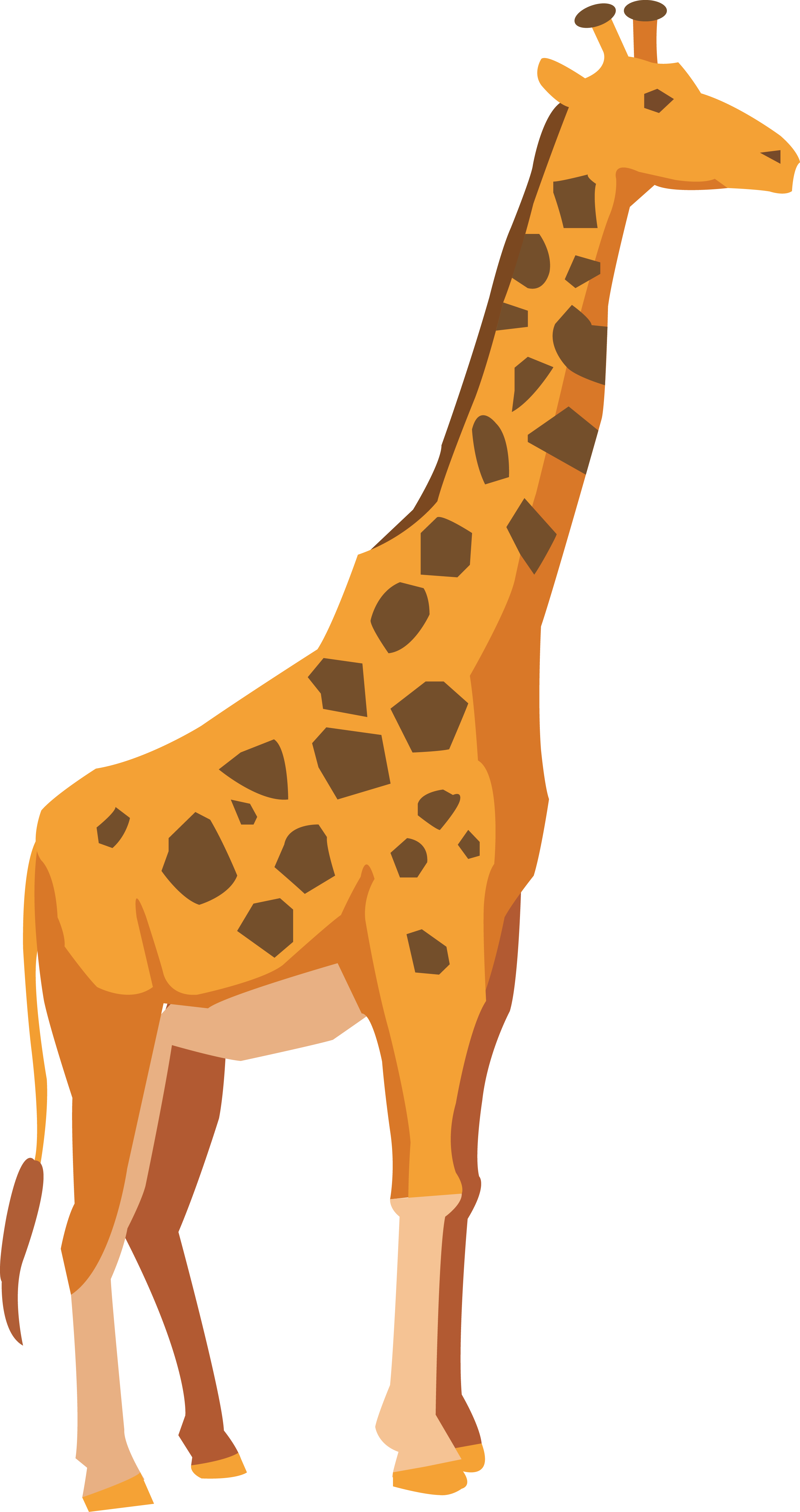 Giraffe Adobe Illustrator Drawing - Giraffe (2620x4951)