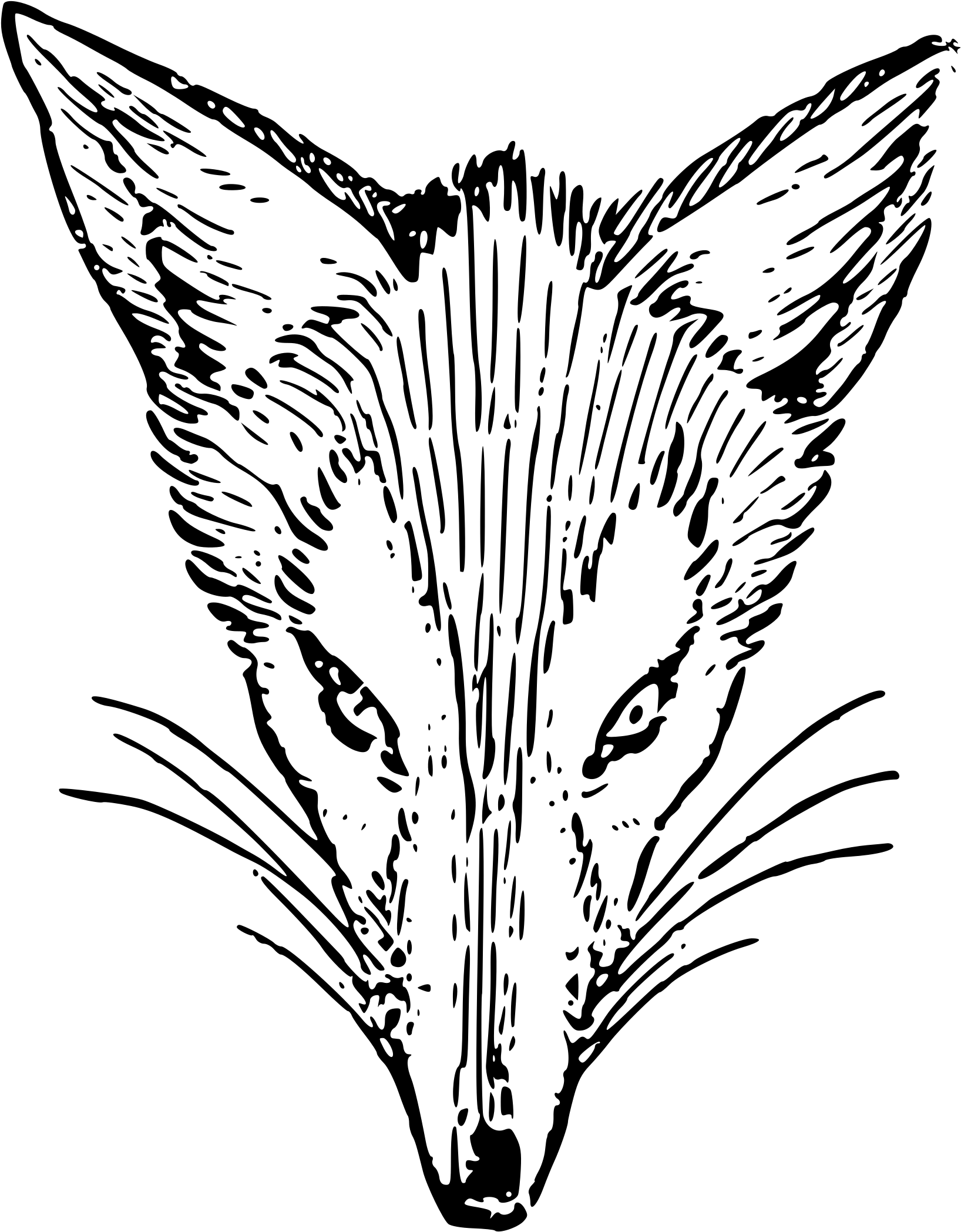 Big Image - Vulpini (1939x2400)