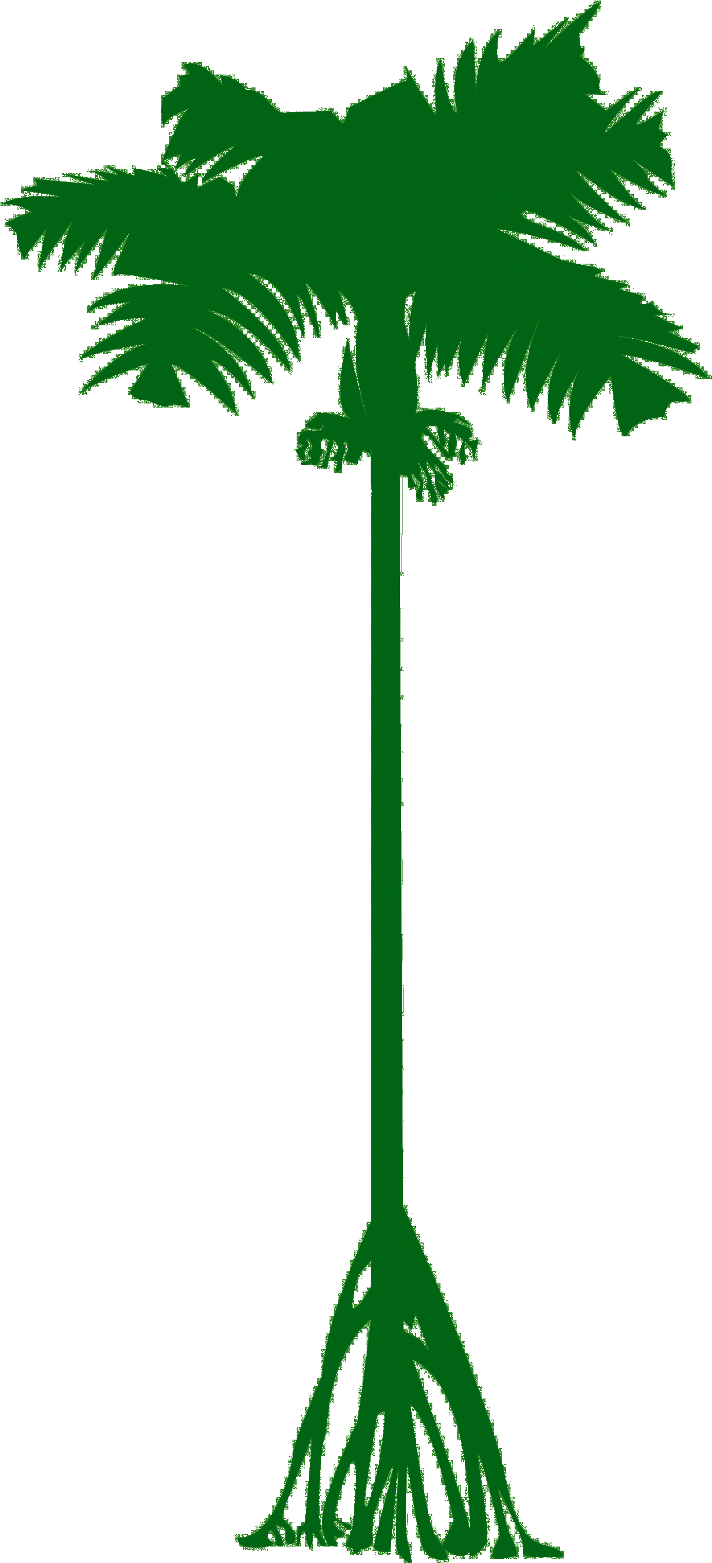Deutsch - Borassus Flabellifer (1922x3333)