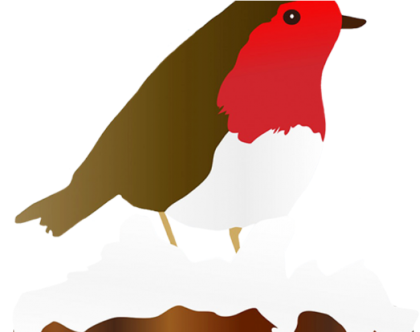 Robin Clipart Winter - Illustration (640x480)