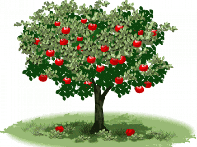Apple Tree Clipart - Картички За Първи Учебен Ден (640x480)