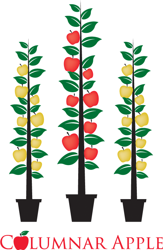 Heavy Cropping - Heavy Cropping (582x857)