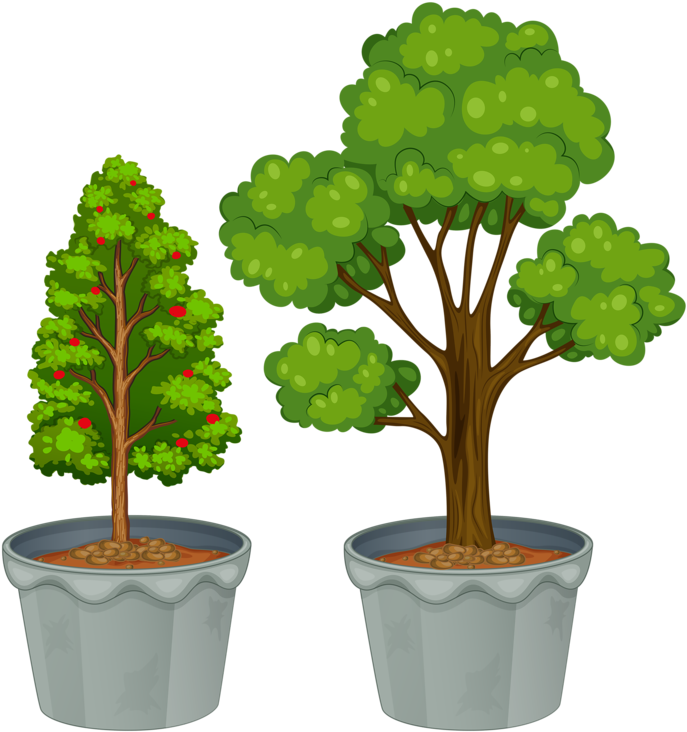 Topiary 1 - - Can & Fear Is Not Of God [book] (746x800)