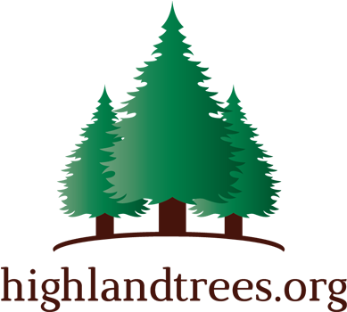 Logo - Christmas Tree (445x350)