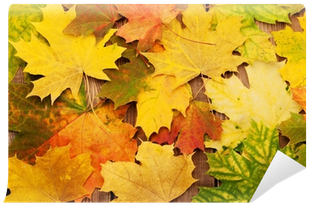 Maple Leaf (400x400)