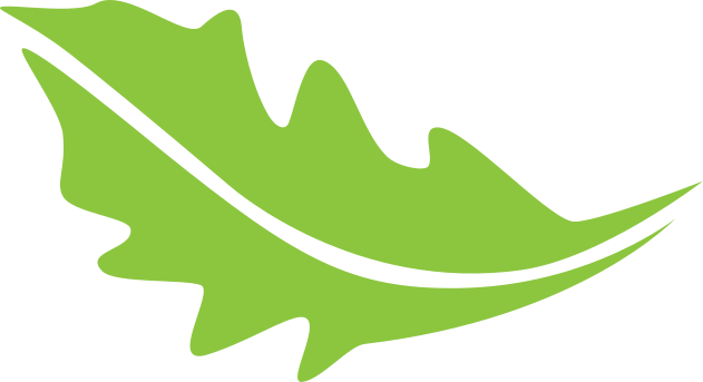 Lettuce Leaf Clipart (631x343)