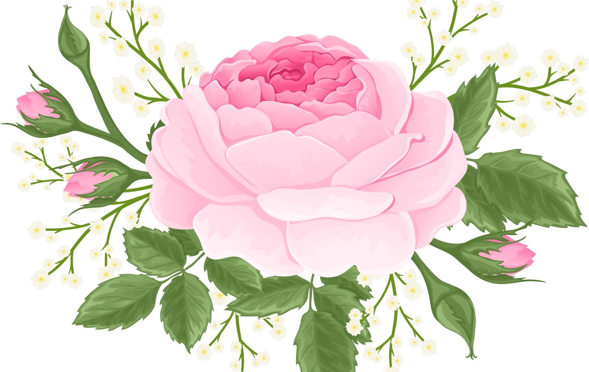Garden Roses (1920x1200)