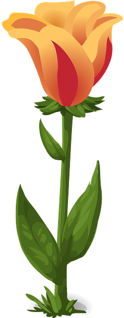 Stem Clipart Bunga - Computerized Orange Rose Round Ornament (320x640)