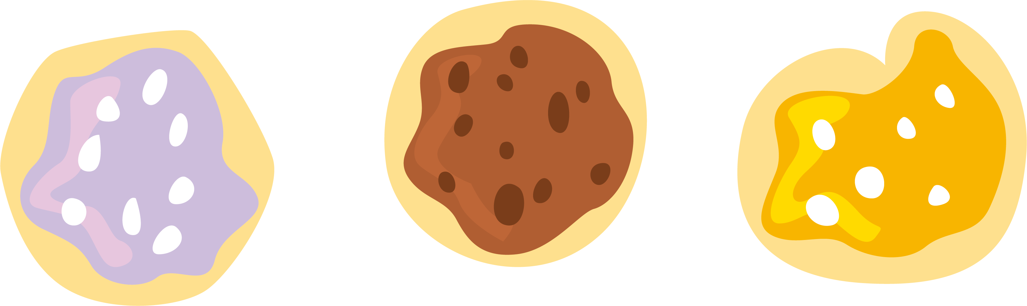 Chocolate Chip Cookie Butter Cookie - Cookie (3358x1001)