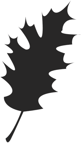 Maple Leaf Silhouette - Clip Art (512x512)