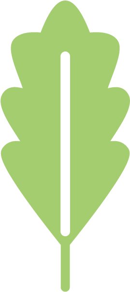 Favicon - Favicon (432x618)