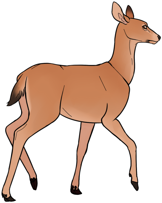 Mule Doe By Kajuale - Doe (600x686)