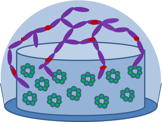 Dual Gel Schematic - Dual Gel Schematic (526x395)