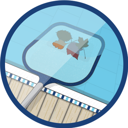 Pool Cleaning - Illustration (440x440)