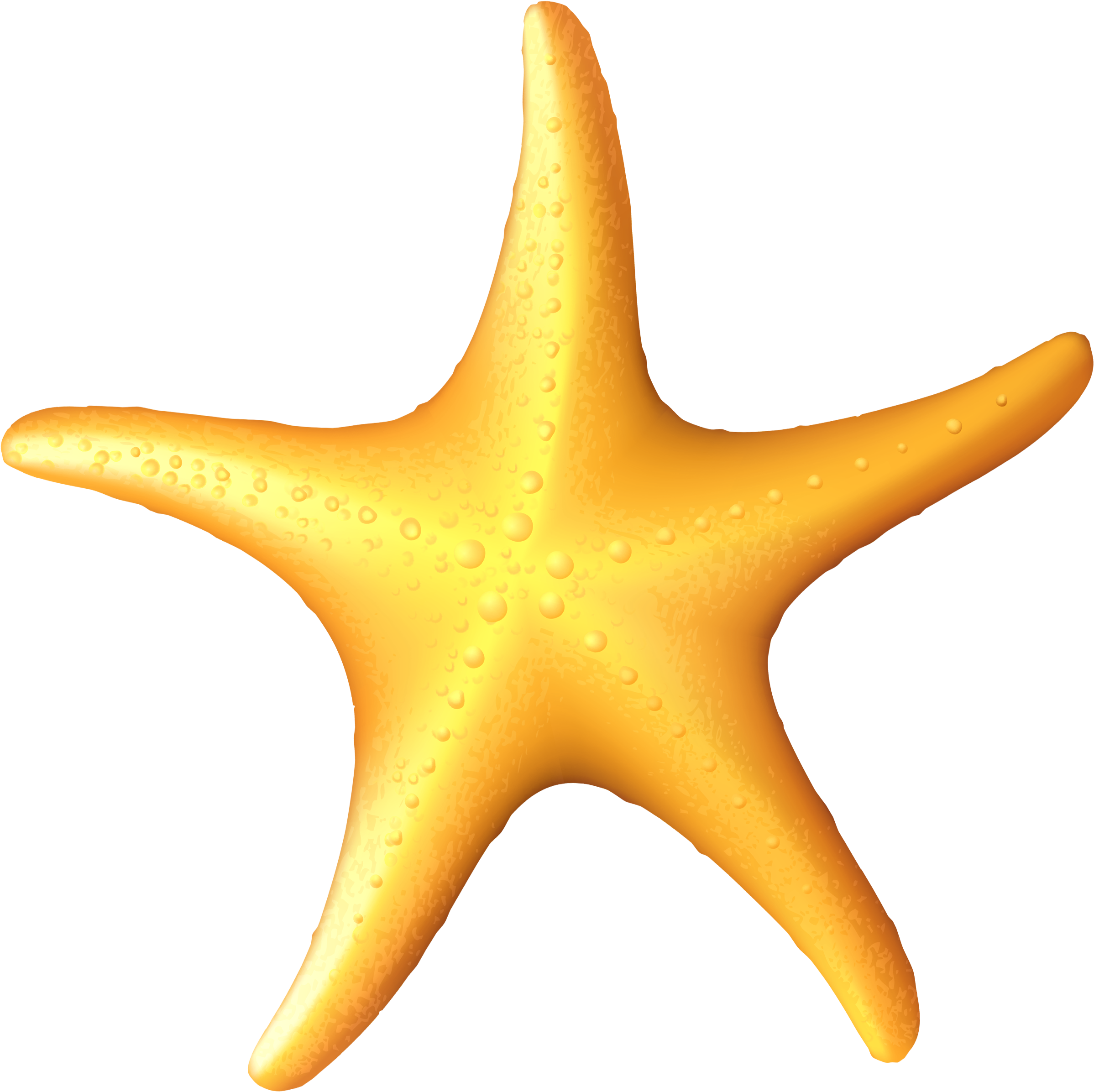 Starfish Clip Art - Starfish (2488x2558)