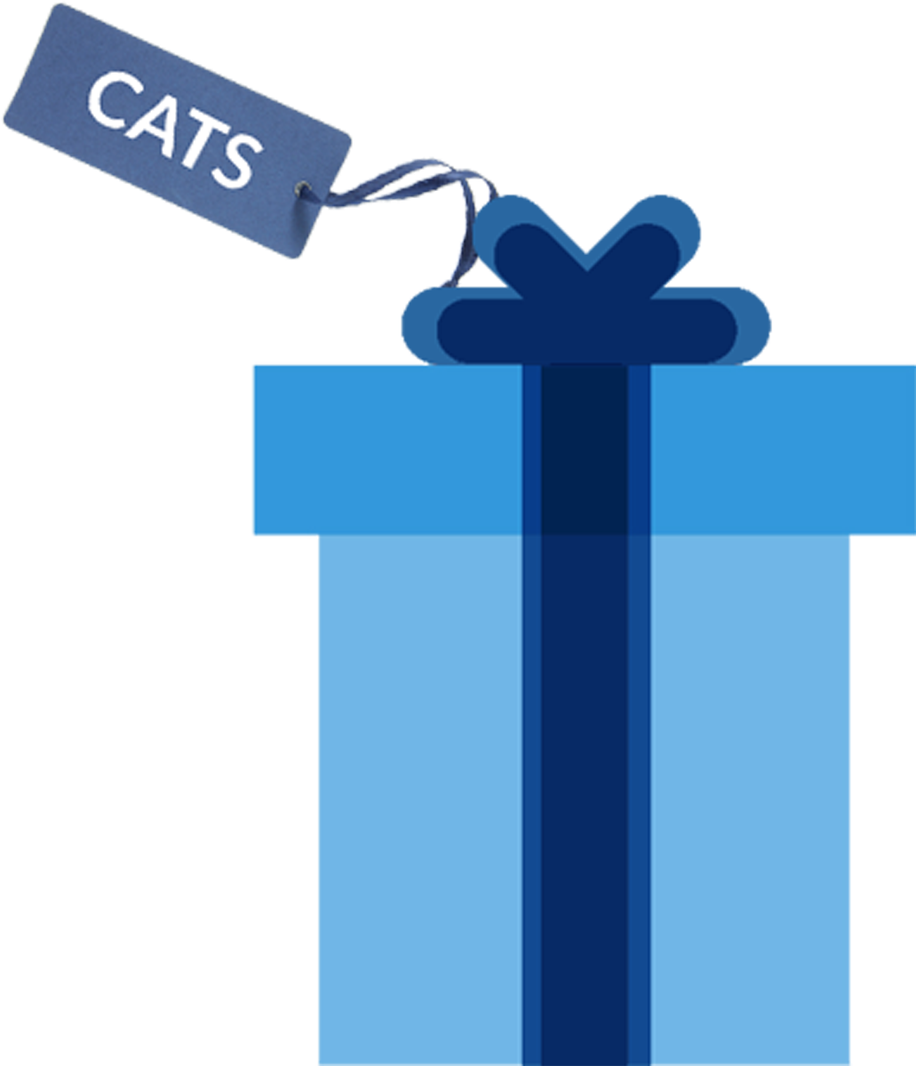Cat Gift - Cat Gift (1251x1253)