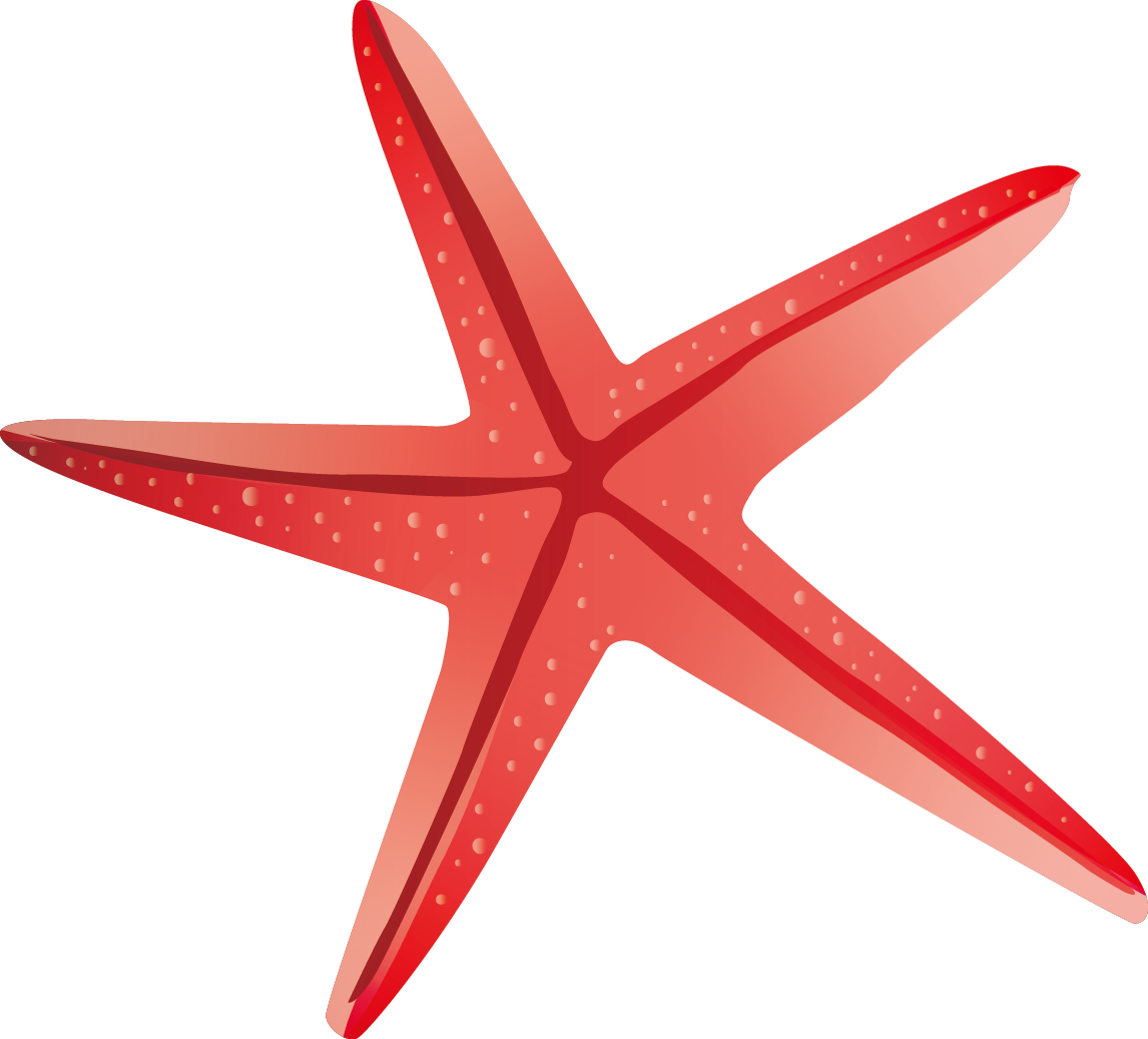 Playa De La Arena Starfish Beach - Starfish Vector (1146x1037)