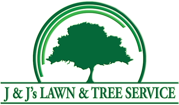 Orlando Tree Trimming - Landscaping (600x361)
