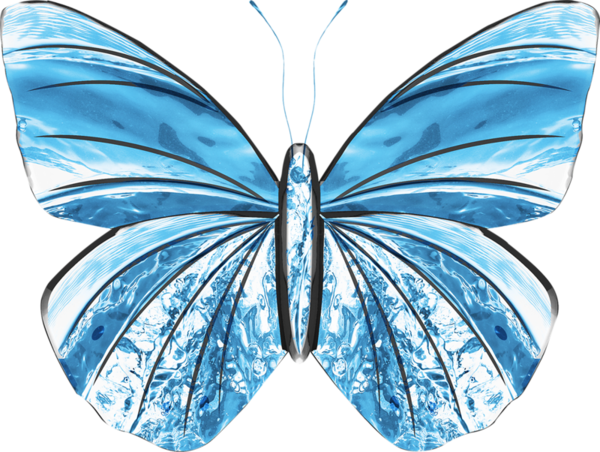 Ice Butterfly Png (600x452)