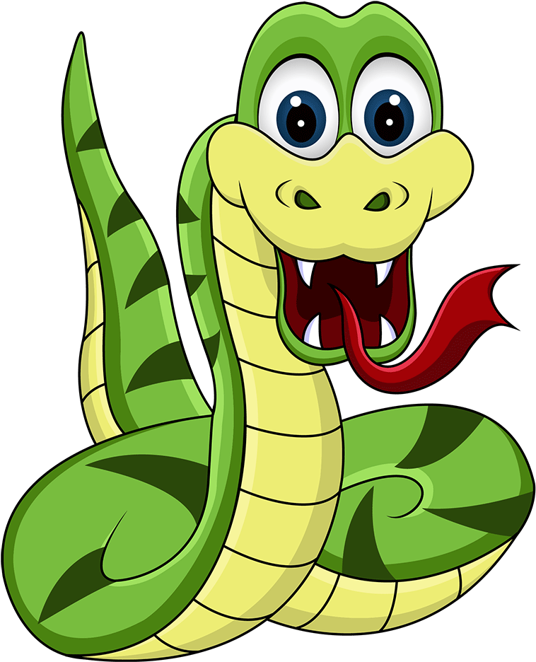 Snake Cartoon (1000x1000)