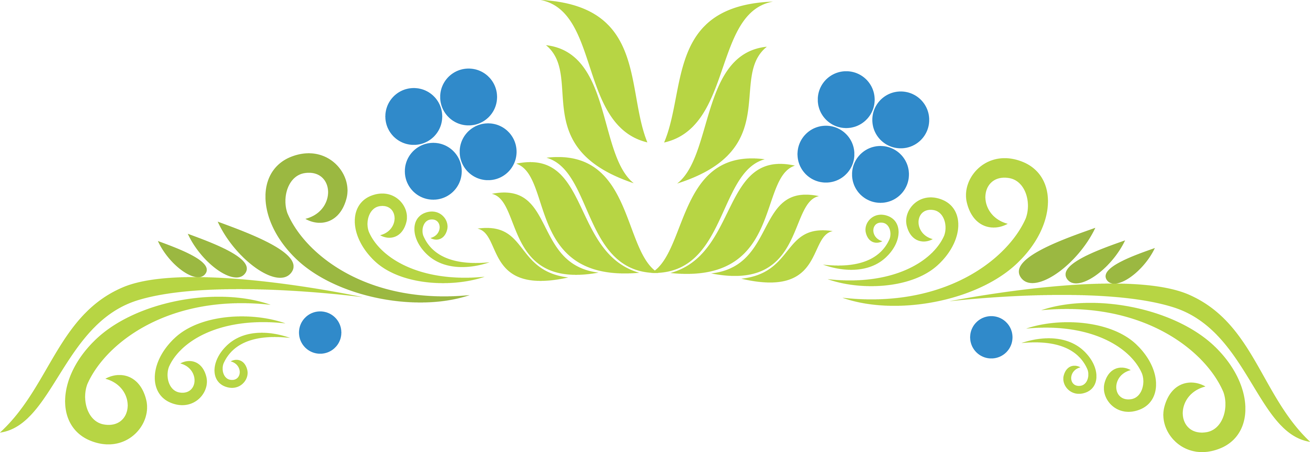 Png Coloured - Circle (4367x1508)