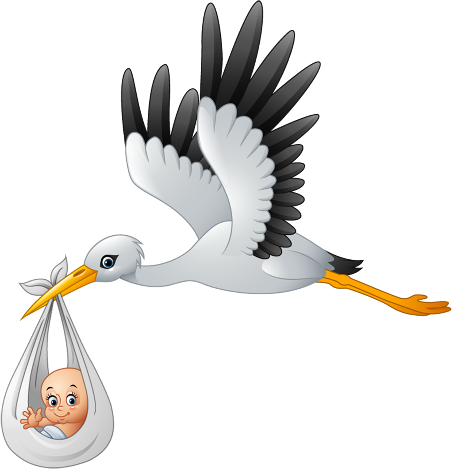 Stork Cartoon (1600x1600)
