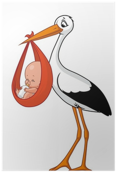 White Stork (400x400)