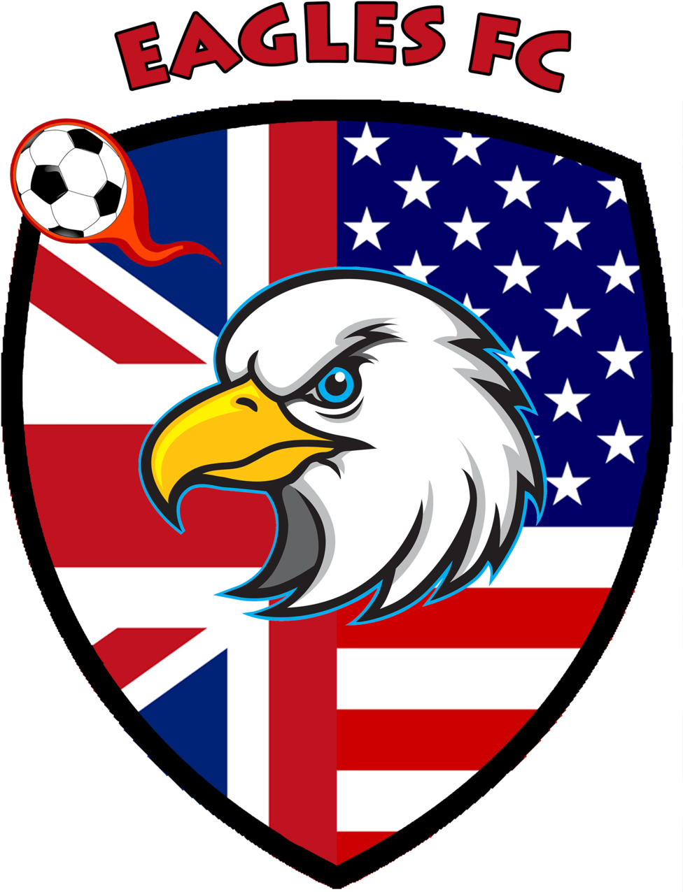 Bald Eagle Clipart (1000x1386)
