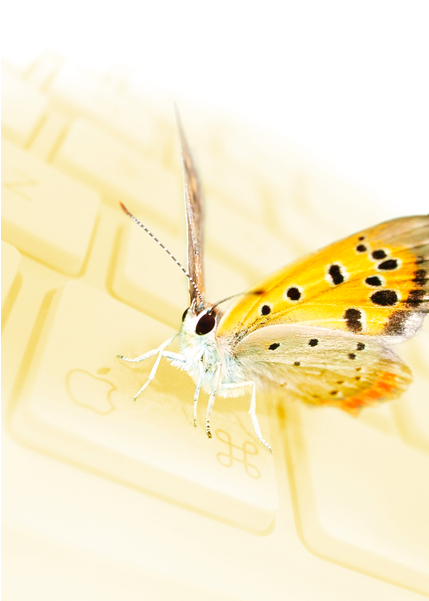 Image Id, - Lycaenid (820x600)