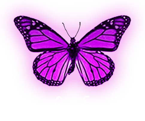 Monarch Butterfly (484x406)