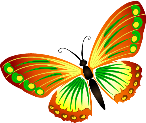Butterfly (508x429)
