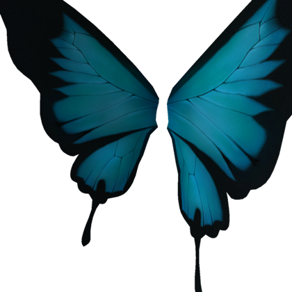 Butterfly Wings - Callophrys (420x420)