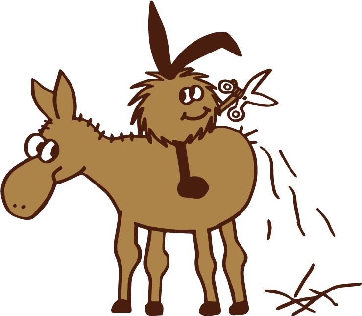 Ein Frecher Smuffel Auf Einem Pony - Bangs (794x794)