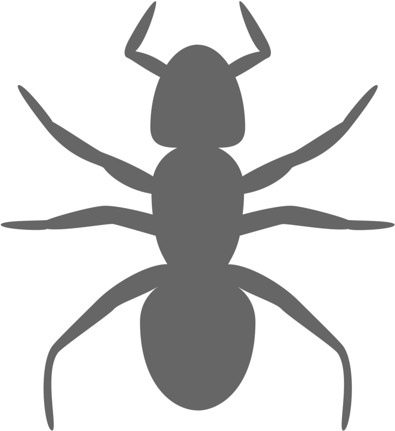 Urban - Ant Silhouette (958x958)