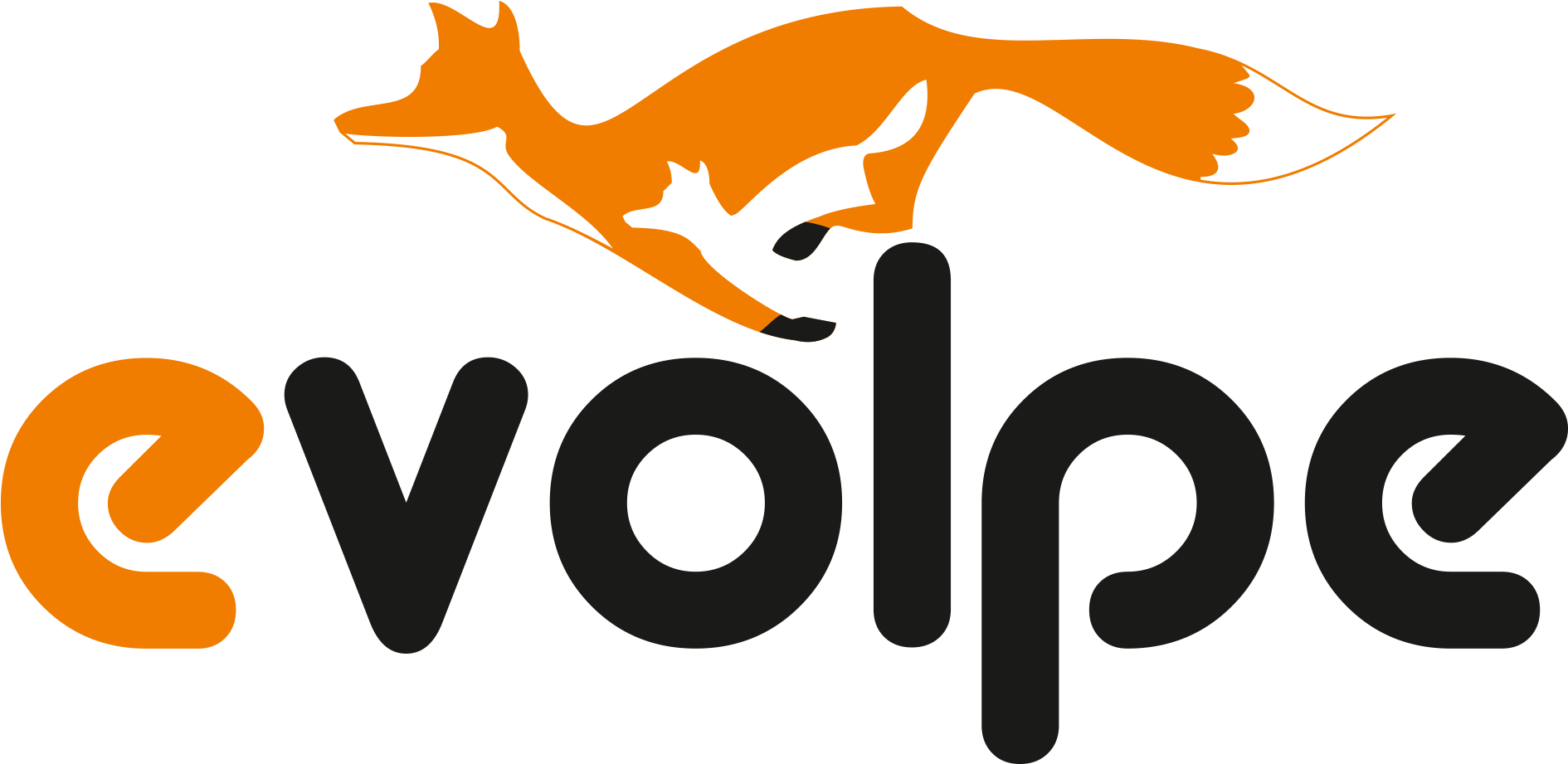 Evolpe Consulting Group - Evolpe (1920x1080)