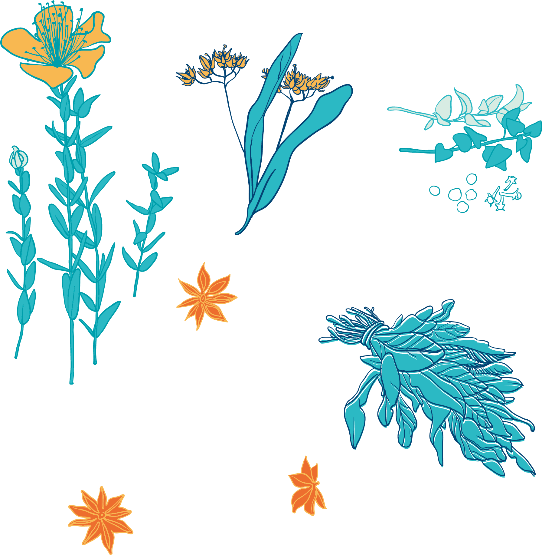Chinese Herbology Clip Art - Vector Graphics (2173x2390)