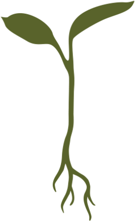 Raw Garden (499x500)
