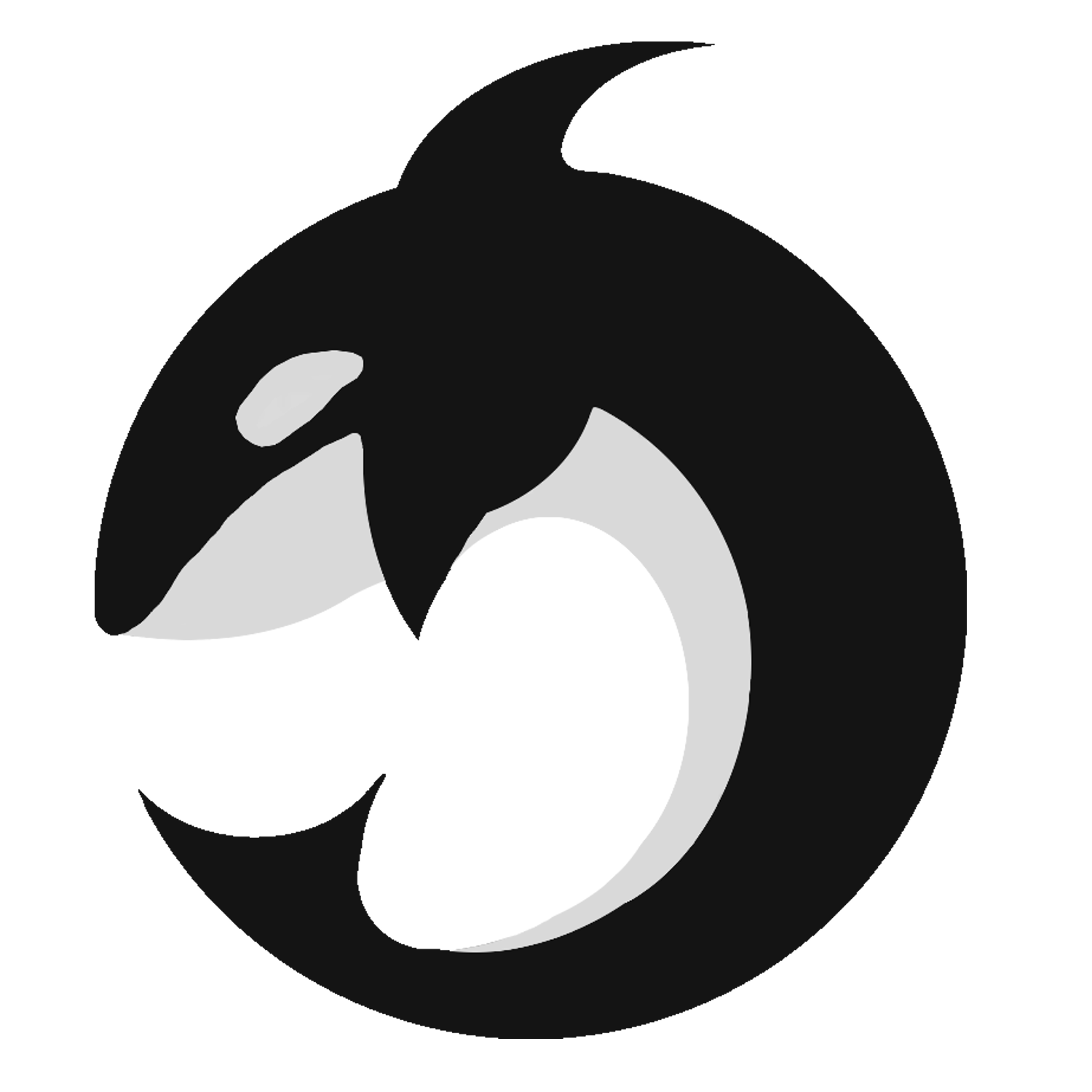Killer Whale (1500x1500)