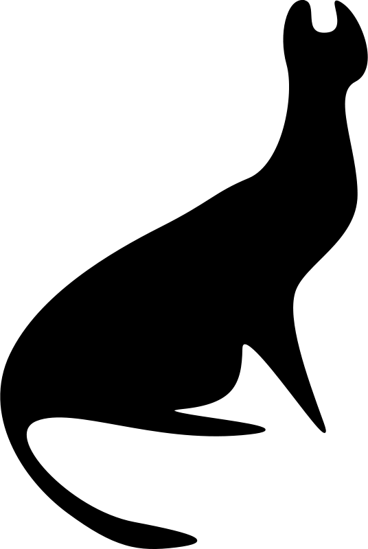 Marine Mammal (536x800)